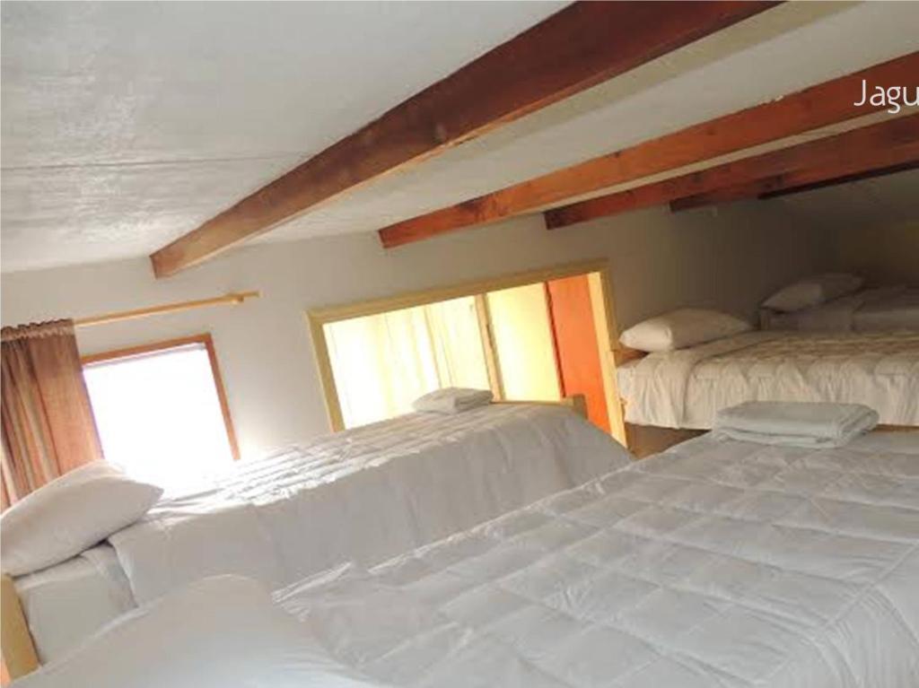 Hostel Jaguar Vina del Mar Phòng bức ảnh
