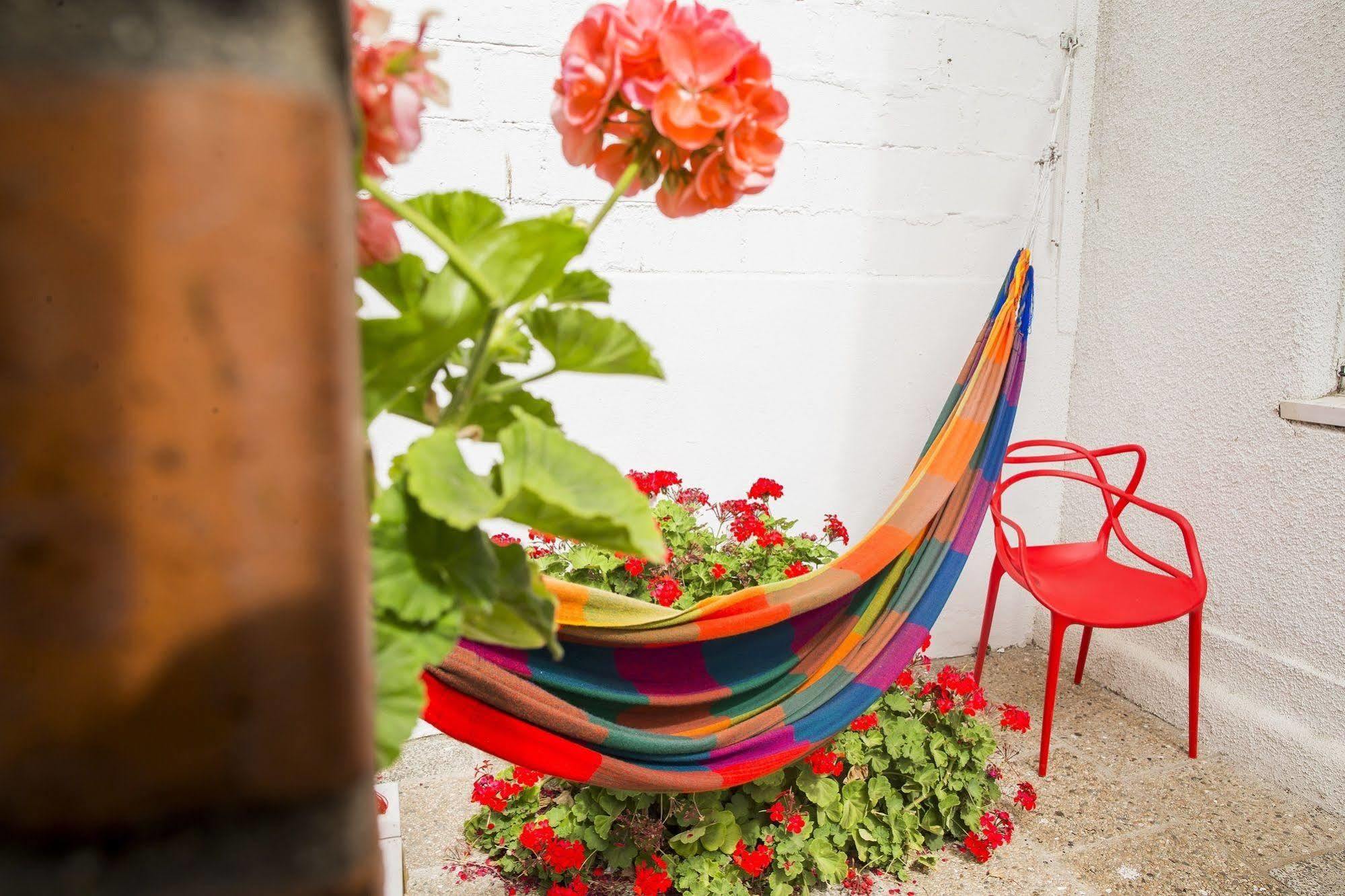 Hostel Jaguar Vina del Mar Ngoại thất bức ảnh